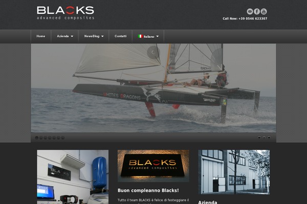 Akita theme site design template sample