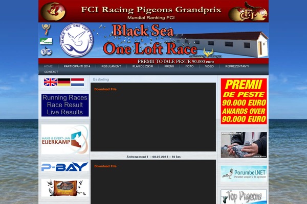 Sky theme site design template sample