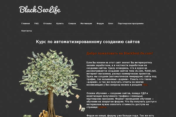 Brooklyn WordPress theme, websites list used Brooklyn theme Brooklyn theme websites examples