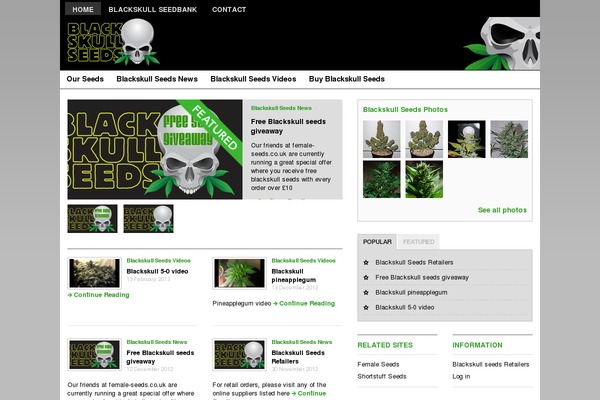 Premiumnews theme site design template sample