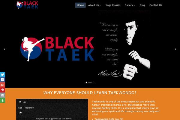 Site using YourChannel: YouTube channel on your website plugin