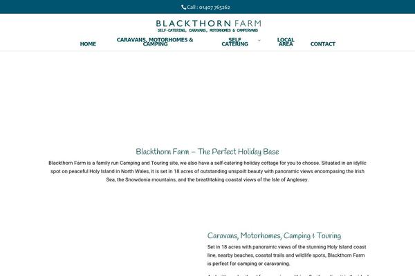 Site using Divi-toolbox plugin