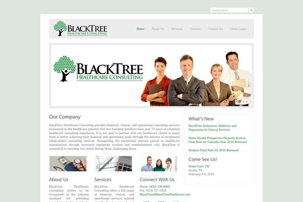 Venturex theme site design template sample