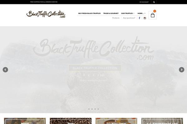 Site using Very Simple Favicon Manager plugin