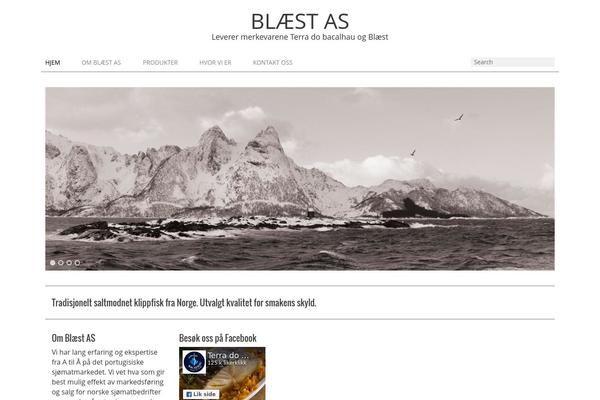 Richbusiness theme site design template sample