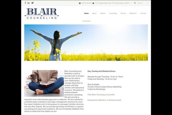 Fiction theme site design template sample
