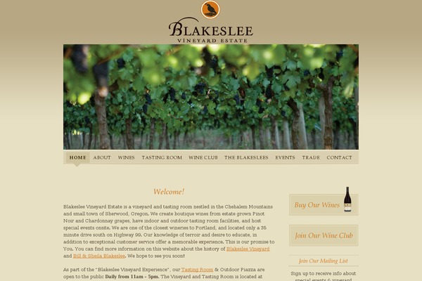 Alliecreative theme site design template sample