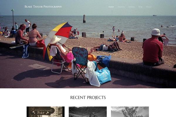 Hayden theme site design template sample