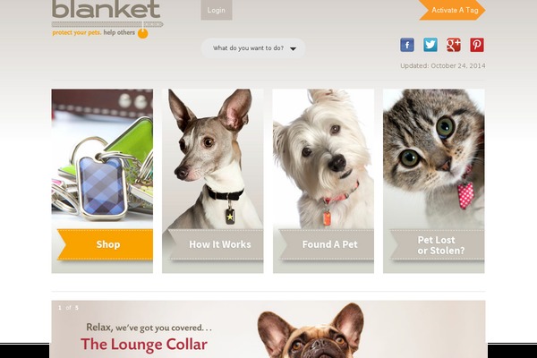 Busy Bee theme site design template sample