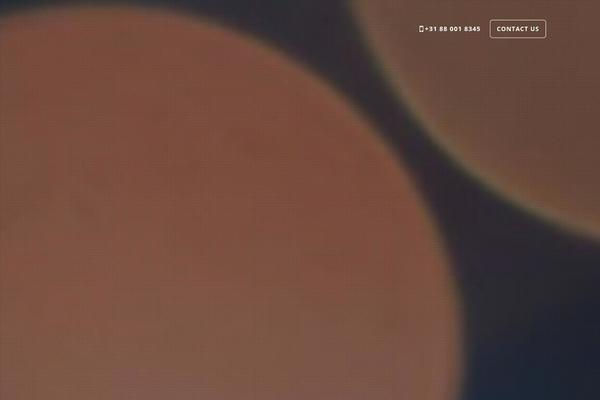 blaud.com site used Avatar-wp