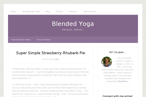 Lifestyle Pro theme site design template sample