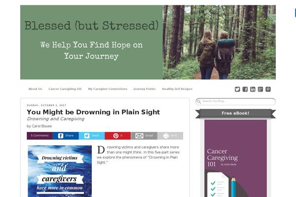 Site using Simple YouTube Embed plugin