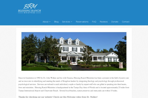 Icy theme site design template sample