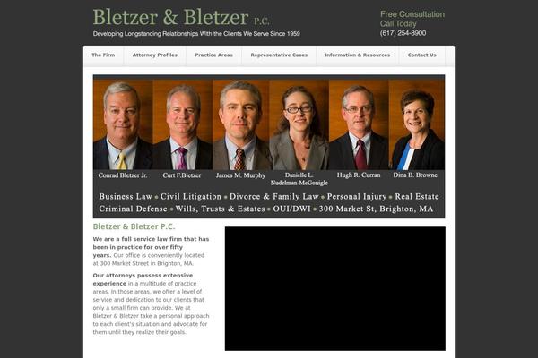 Akita theme site design template sample