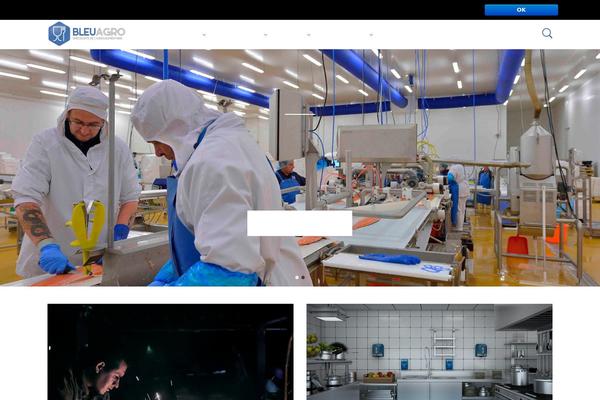 Mr. Tailor theme site design template sample