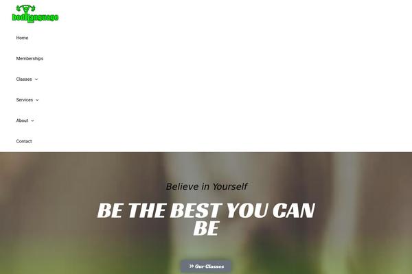 Site using Simple Security Firewall plugin