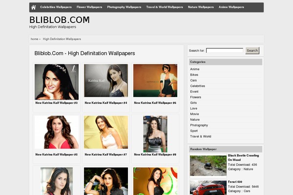 bliblob.com site used Squid