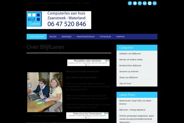The Newswire theme site design template sample