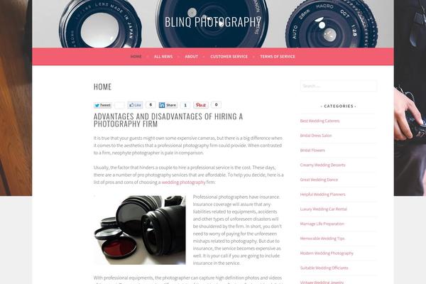 Sela theme site design template sample