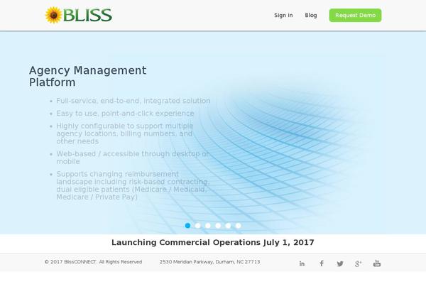 Bliss theme site design template sample