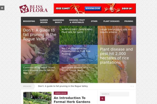 Rexus theme site design template sample