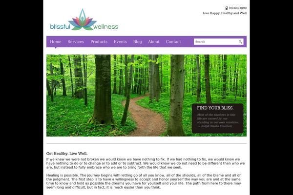 Blackbird theme site design template sample