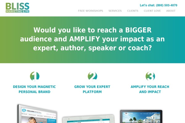blissmarketingpr.com site used Erling