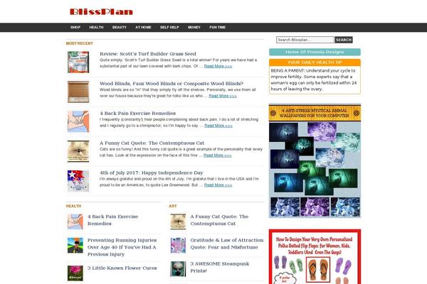News Pro theme site design template sample