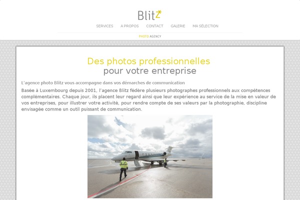 Blitz theme site design template sample