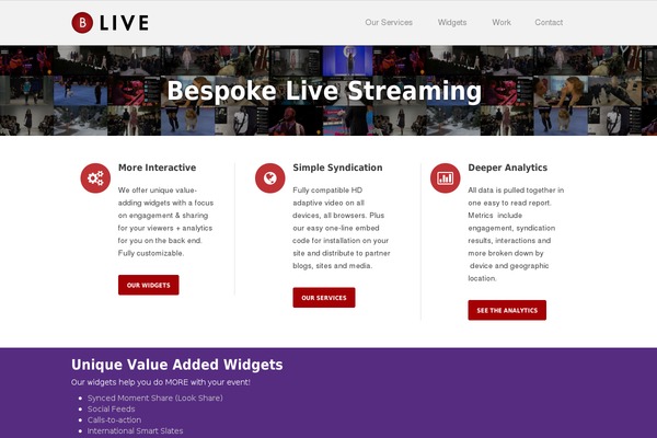 Volts theme site design template sample