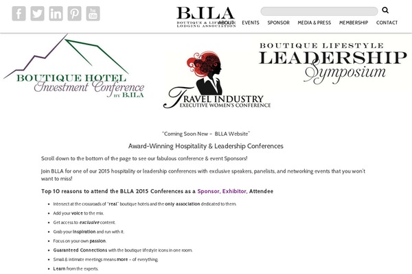 ydm-core theme websites examples