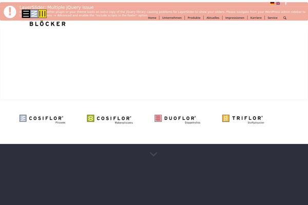 Site using Woocustomizer plugin