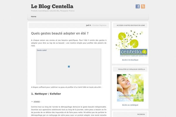 Paperpunch theme site design template sample