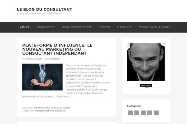 blog-du-consultant.fr site used Genesis-sample