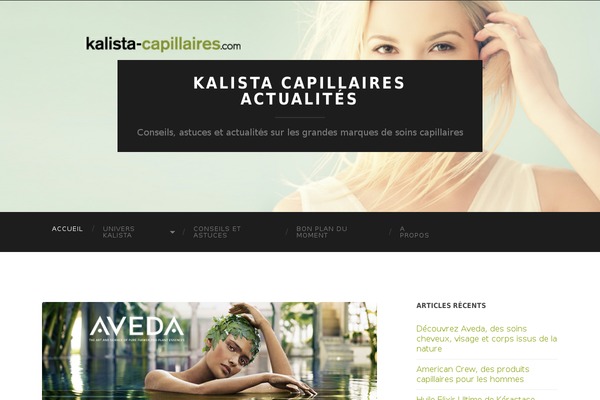 Vilva theme site design template sample