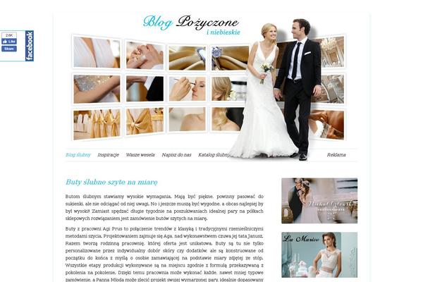 blog-pozyczoneiniebieskie.pl site used Pin