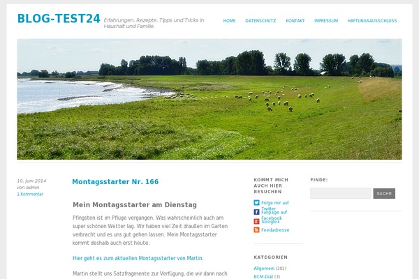 Yoko theme site design template sample