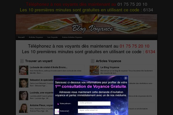 Infos-Mobiles theme websites examples