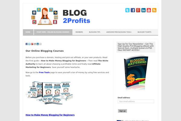 Iconic One Pro theme site design template sample
