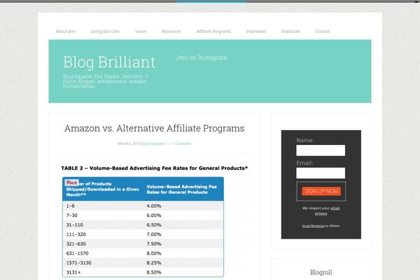 Lifestyle Pro theme site design template sample