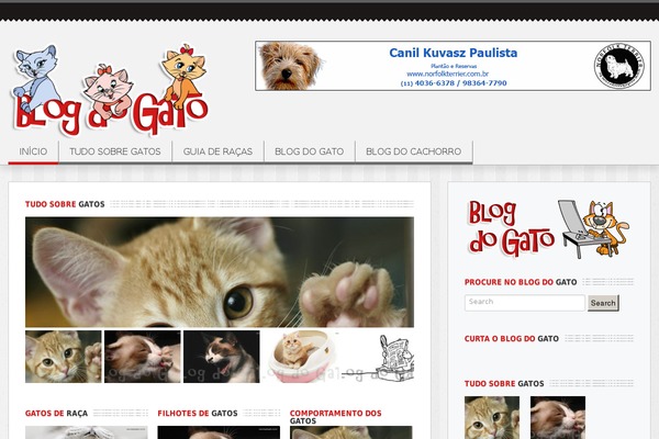 TrustMe theme site design template sample