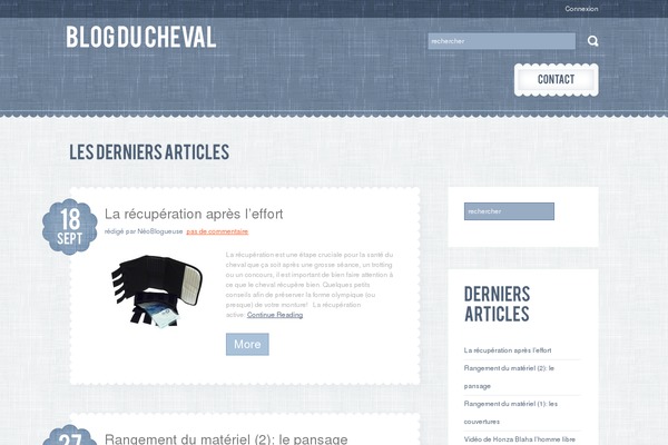 blogducheval.com site used Theme24