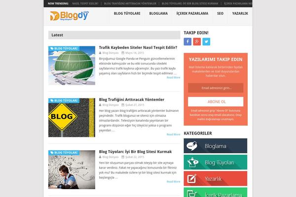Mts_point_pro theme site design template sample