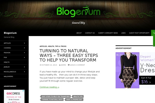 Portfolio-gallery theme site design template sample