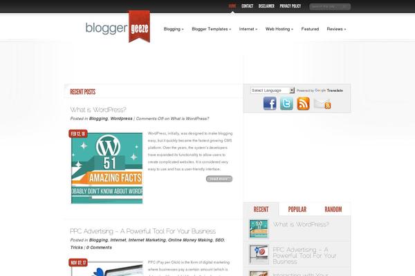 DelicateNews theme site design template sample