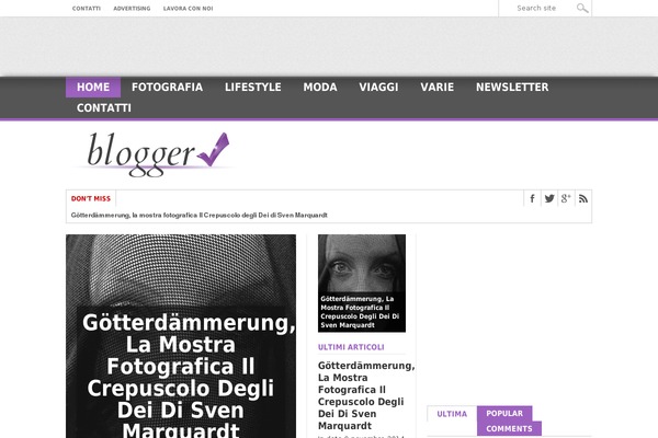Max Mag theme site design template sample