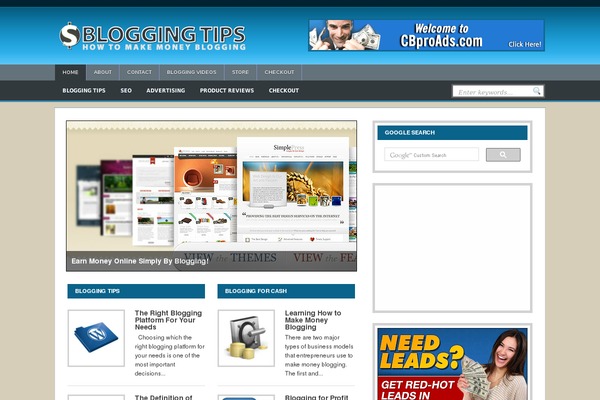 Blogsbizwd theme site design template sample