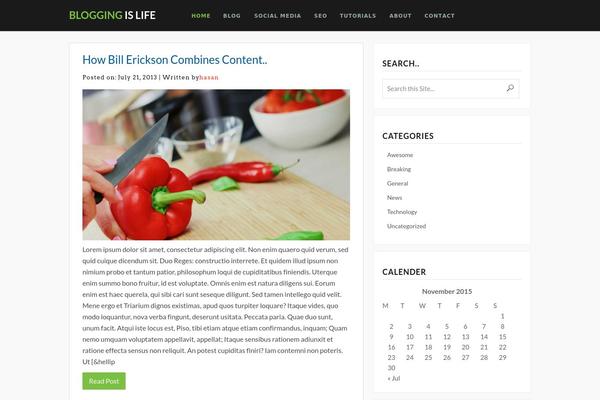 Blogging theme site design template sample