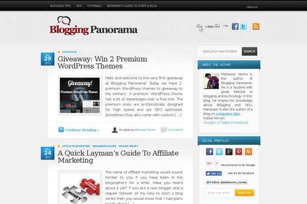 Site using WP MashSocial Wigdet Lite plugin