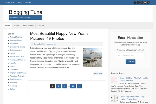 QAEngine theme site design template sample